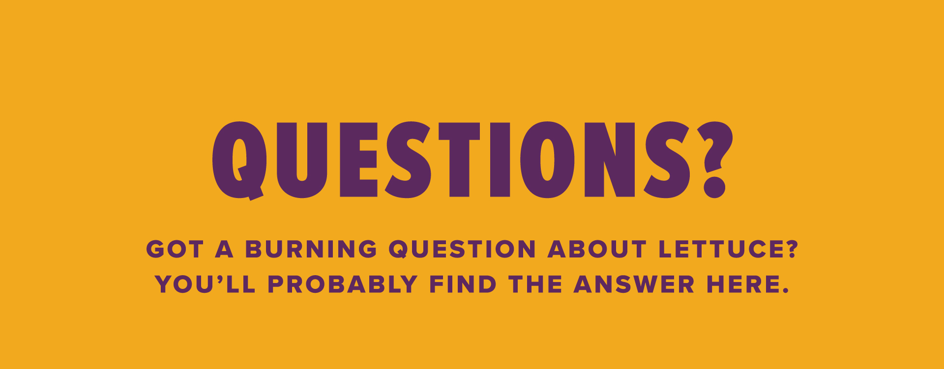Your questions answered